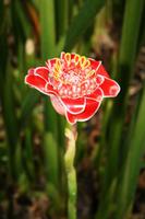 IMG_3400 &ndash; &copy; Annett Müller (Eberhardt TRAVEL)